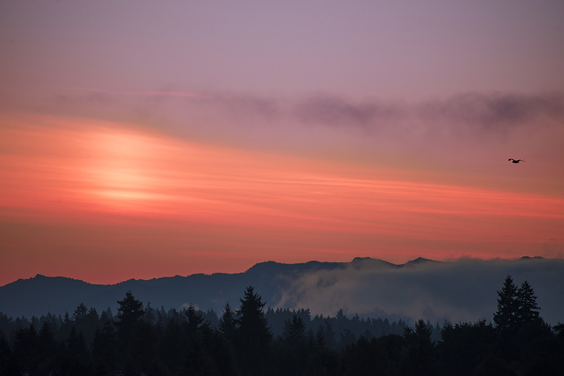 Cascade Mountains